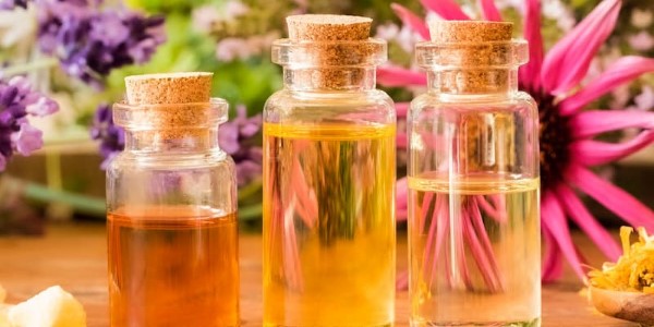 تصویر 3 از خرید و قیمت عرق بیدمشک اصل + فروش صادراتی